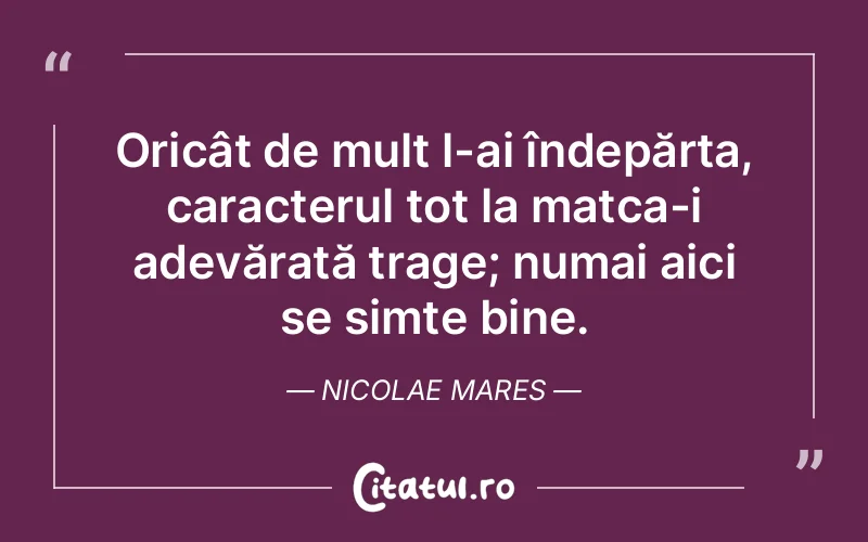 Citat Nicolae Mares - citate viata