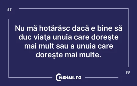 Programul meu politic constă în a face...