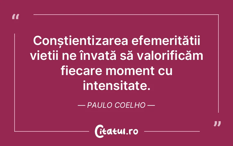 Citat Paulo Coelho - citate viata
