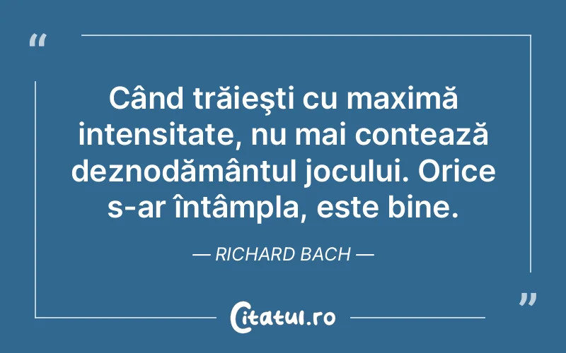 Citat Richard Bach - citate viata