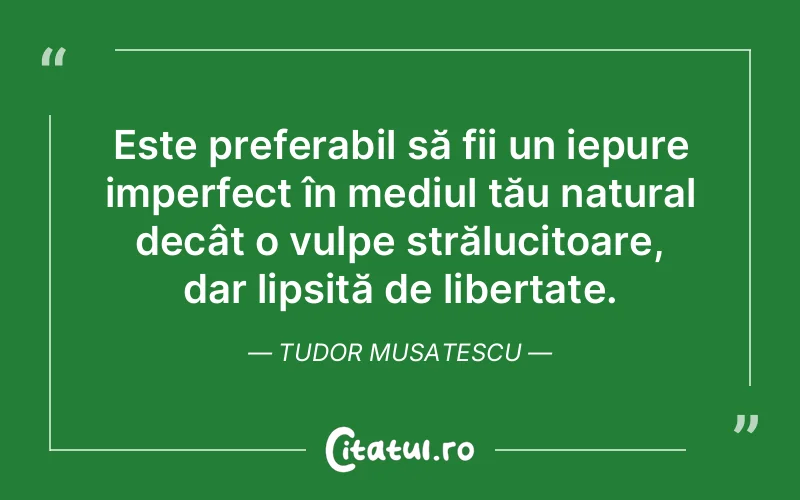 Citat Tudor Musatescu - citate viata