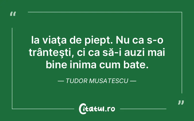 Citat Tudor Musatescu - citate viata