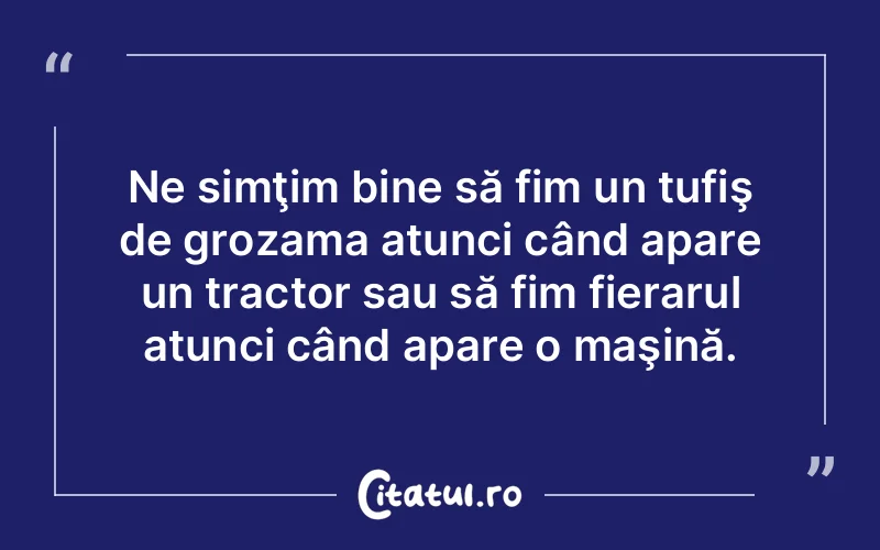 Citat Autor necunoscut - citate viata