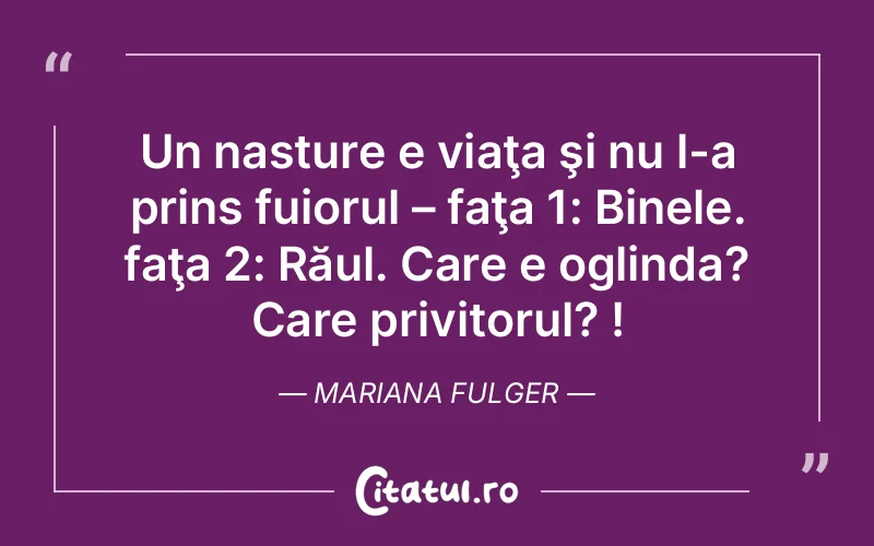 Citat Mariana Fulger - citate viata