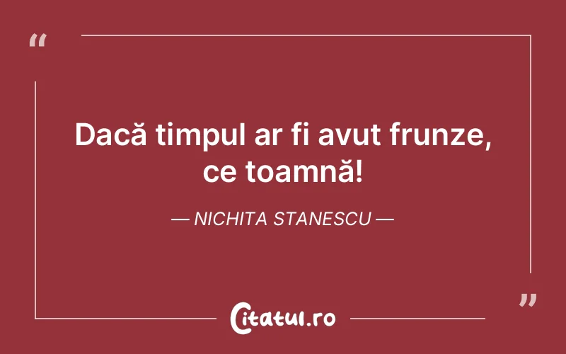 Citat Nichita Stanescu - citate viata