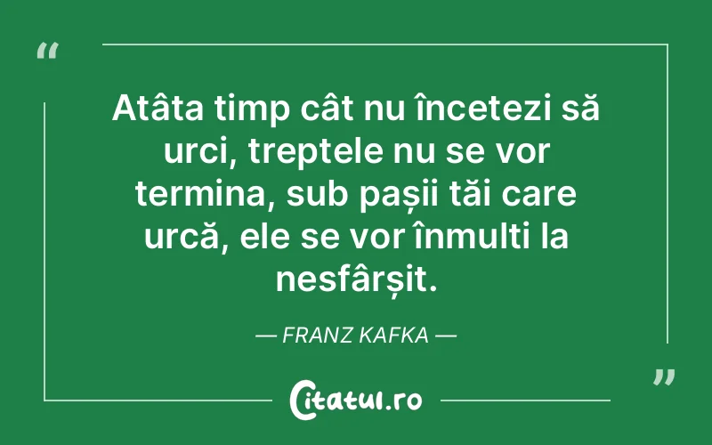 Citat Franz Kafka - citate viata