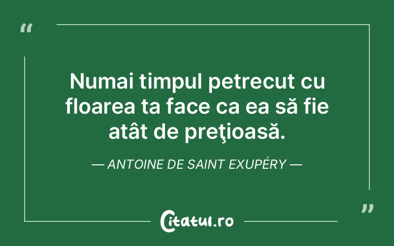 Citat Autor necunoscut - citate viata