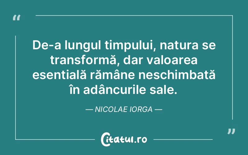 Citat Nicolae Iorga - citate viata