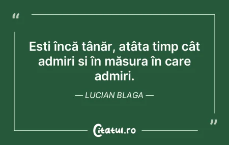 Cuvintele n-am de gand sa le apar, se vo...