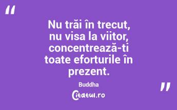 Nu trăi în trecut, nu visa la viitor, concentrează-ți toate eforturile în prezent. Buddha...