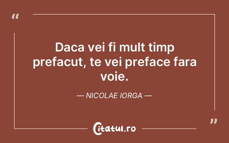 Citat Nicolae Iorga - citate viata