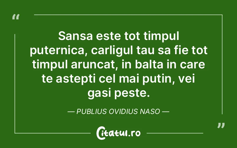 Sansa este tot timpul puternica, carligul tau sa fie tot timpul aruncat, in balta in care te astepti cel mai putin, vei gasi peste. Publius Ovidius Naso
