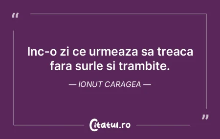 Nimic nu tine o vesnicie, nici vesnicia ...