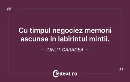 Pasarile isi ascund vesnicia sub aripi. ... Pasarile isi ascund vesnicia sub aripi. ...