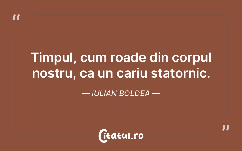 Citat Iulian Boldea - citate viata
