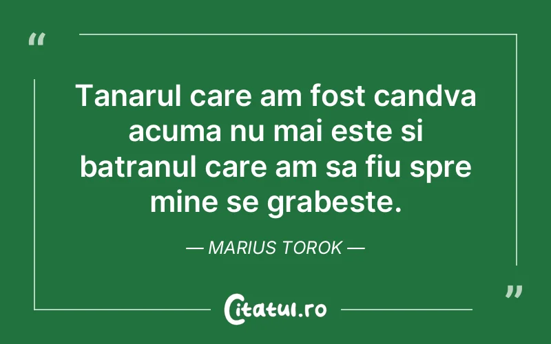 Citat Marius Torok - citate viata