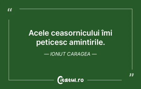 Timpule este suficient pentru cel care s...