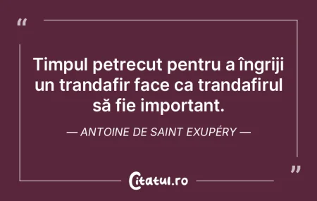 Nimeni nu se poate simţi, în acelaşi ...