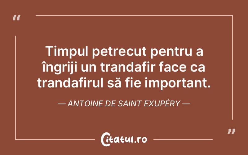 Citat Autor necunoscut - citate viata