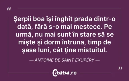 Renunţăm la timpul nostru liber pentru...