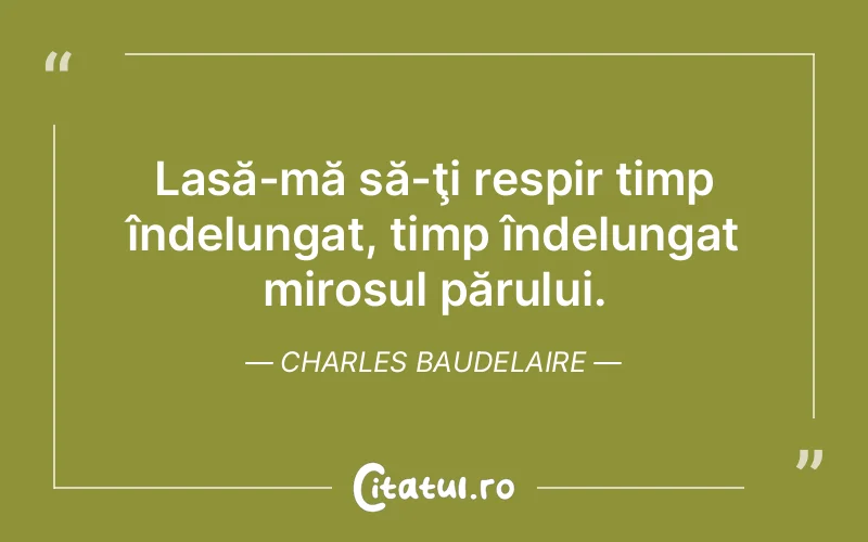 Citat Charles Baudelaire - citate viata