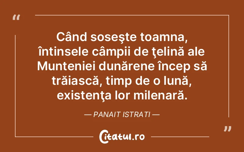 Citat Panait Istrati - citate viata