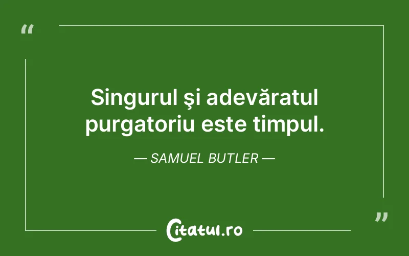 Citat Samuel Butler - citate viata