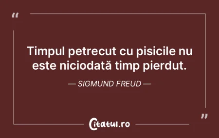 Raportul dintre fantasmă şi timp este,... Raportul dintre fantasmă şi timp este,...