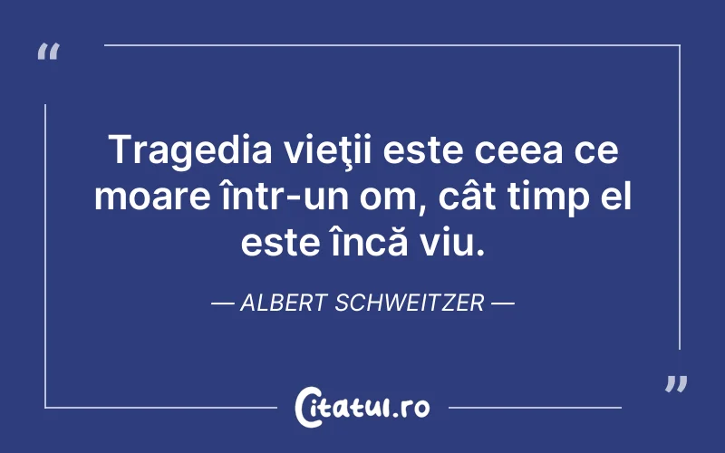 Citat Albert Schweitzer - citate viata