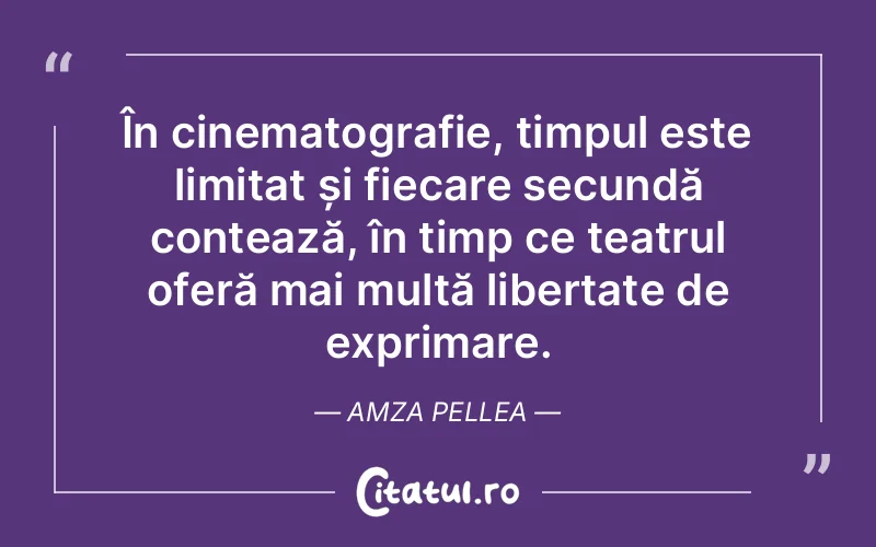 Citat Amza Pellea - citate viata