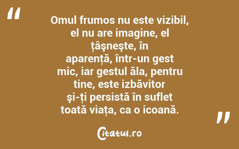 Omul frumos nu este vizibil, el nu are imagine, el ţâşneşte, în aparenţă, într-un gest mic, iar gestul ăla, pentru tine, este izbăvitor şi-ţi persistă în suflet toată viaţa, ca o icoană. 
