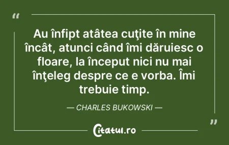 Dacă un guvern şi-ar pierde răspunder...