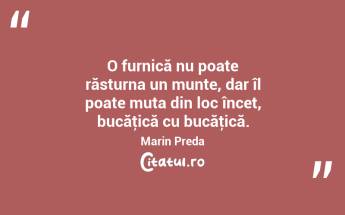 O furnică nu poate răsturna un munte, dar îl poate muta din loc încet, bucăţică cu bucăţică. Marin Preda...