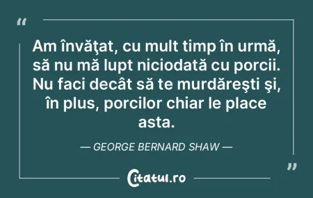 Un traducător bun nu-şi pierde timpul ...