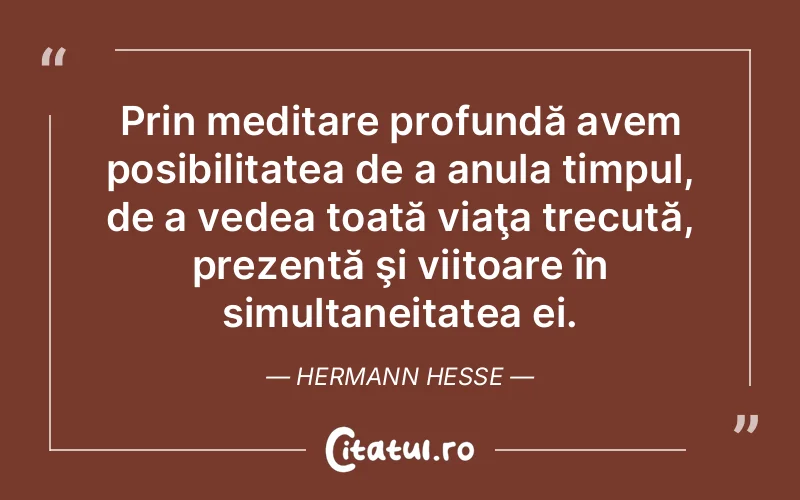 Citat Hermann Hesse - citate viata