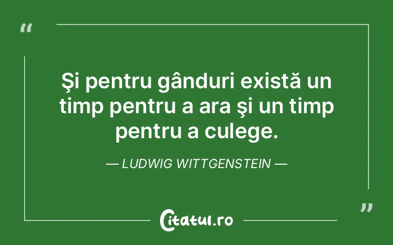 Citat Ludwig Wittgenstein - citate viata