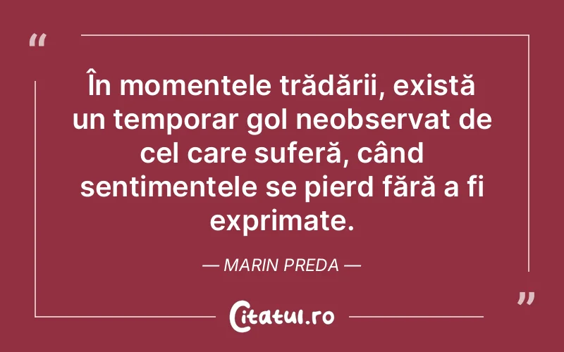 Citat Marin Preda - citate viata