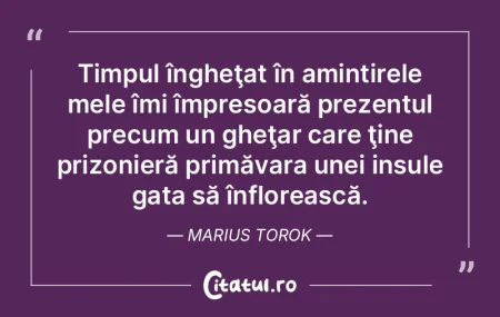 Orice interogare este o căutare. Martin... Orice interogare este o căutare. Martin...