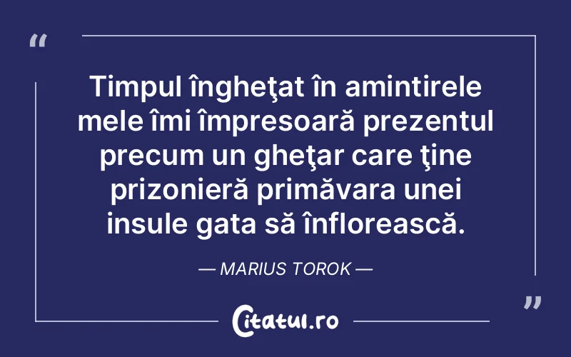 Citat Marius Torok - citate viata