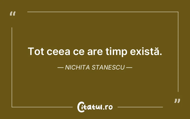 Citat Nichita Stanescu - citate viata