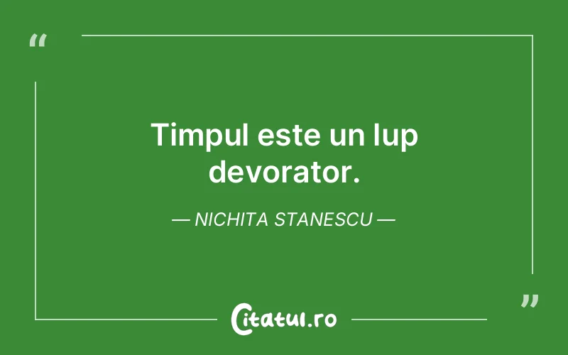Citat Nichita Stanescu - citate viata