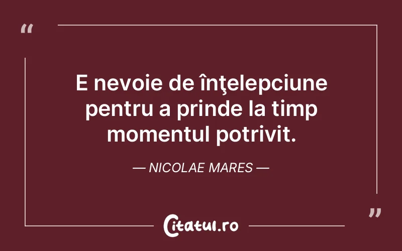 Citat Nicolae Mares - citate viata