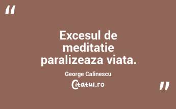 Excesul de meditatie paralizeaza viata. George Calinescu...