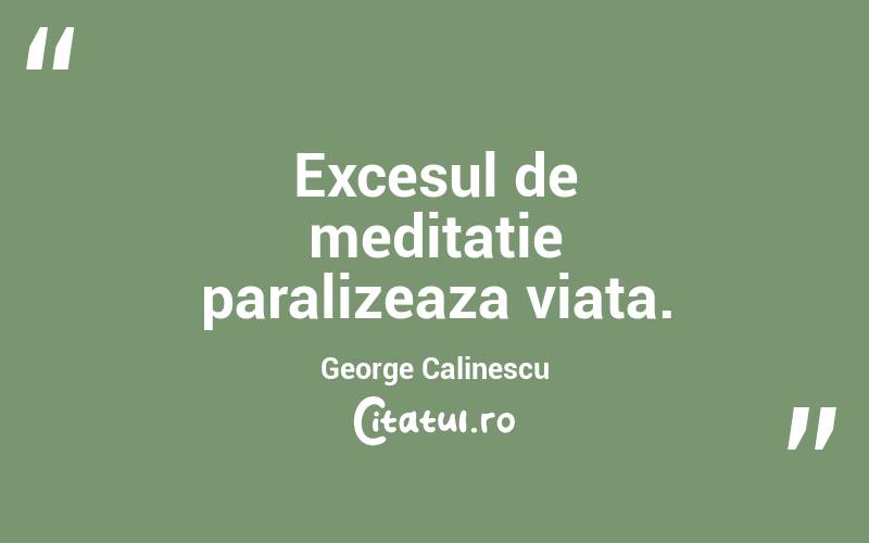 Excesul de meditatie paralizeaza viata. George Calinescu
