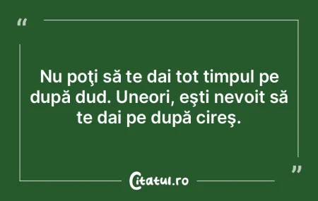 Suntem la capătul acţiunii de unificar...