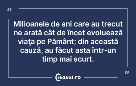 Timpul nu trece, noi trecem sau nu trece... Timpul nu trece, noi trecem sau nu trece...