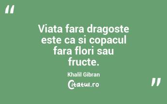 Viata fara dragoste este ca si copacul fara flori sau fructe. Khalil Gibran...