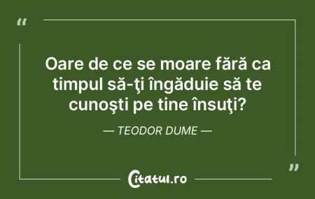 Orice simulare e un timp mort. Teodor Du... Orice simulare e un timp mort. Teodor Du...