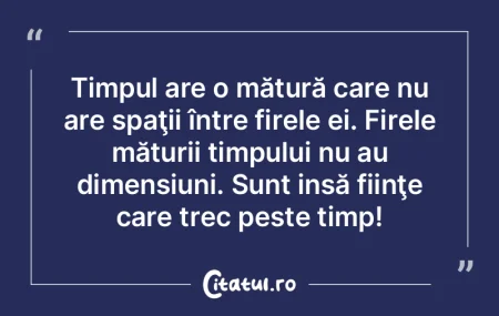 Nu vom putea combate mizeria unei societ...