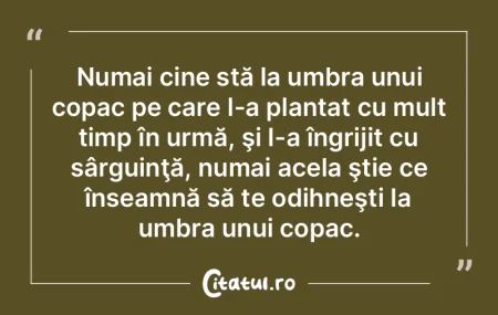 Cel care stă la umbră astăzi, o face ... Cel care stă la umbră astăzi, o face ...
